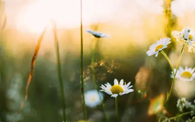 Understanding Turkey Bodrum Weather: What to Expect This Spring