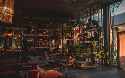 An In-Depth Description of 5 Star Hotels: What Makes Them Exceptional?